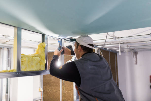 Best Commercial Insulation in Universal City, TX