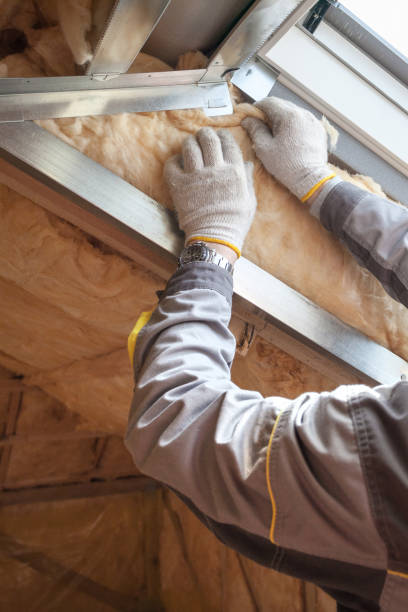 Best Residential Insulation in Universal City, TX