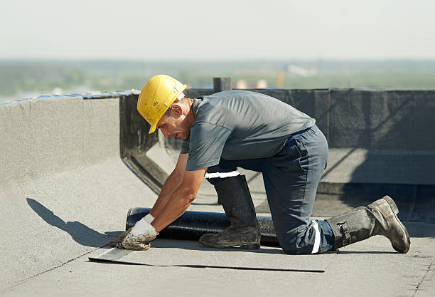 Best Eco-Friendly Insulation in Universal City, TX